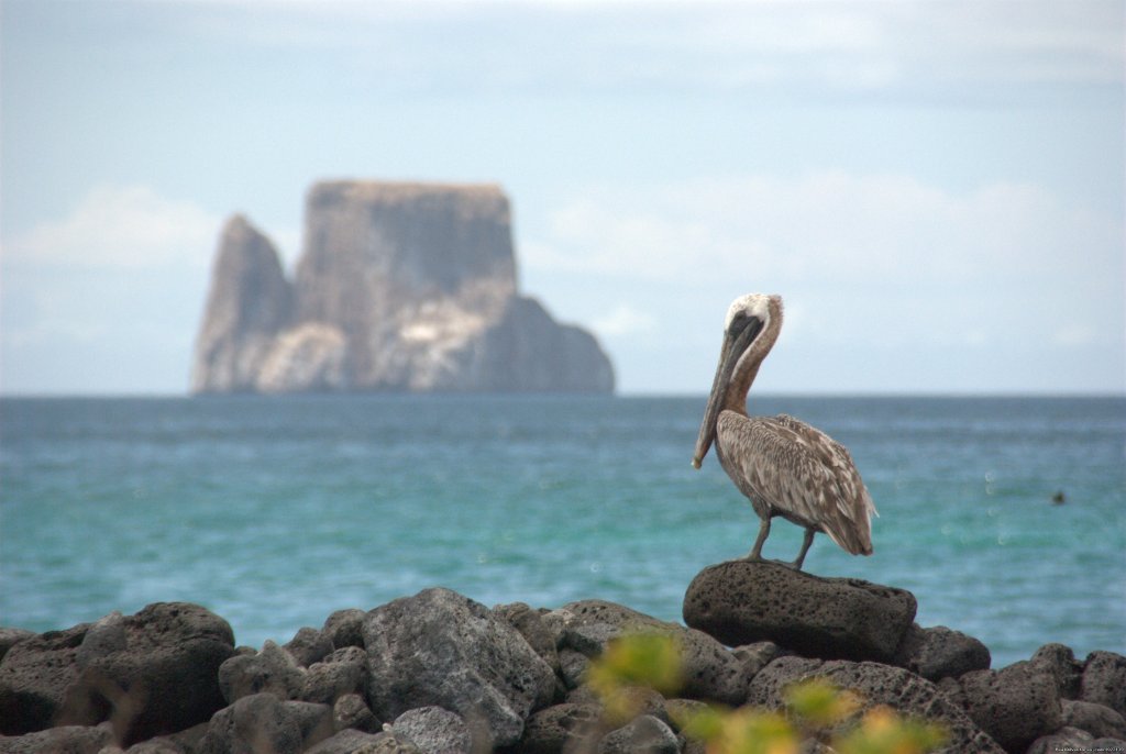 Kicker Rock in the distance | Explore the Galapagos Islands with Andean Trails | Image #6/22 | 