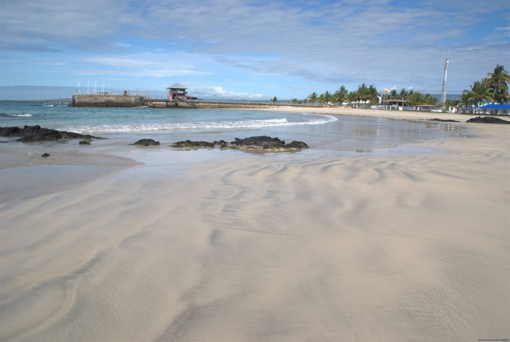 Pristine beaches | Explore the Galapagos Islands with Andean Trails | Image #15/22 | 