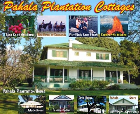 Hawaii Real Estate