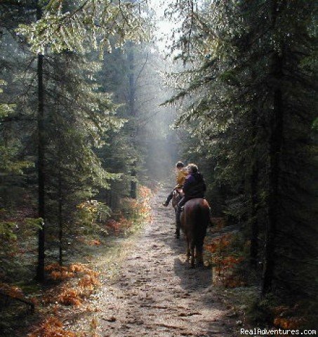 Autumn Trail Ride | Cedar Rail Ranch Resort | Thessalon, Ontario  | Horseback Riding & Dude Ranches | Image #1/2 | 