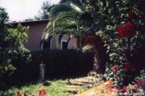 Roma Bed And Breakfast i  | ROMA, Italy Bed & Breakfasts | Great Vacations & Exciting Destinations