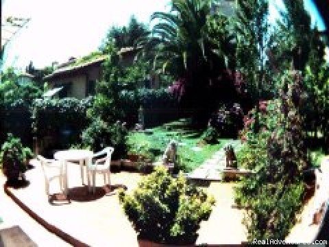 The Garden | Roma Bed And Breakfast i  | Image #2/9 | 