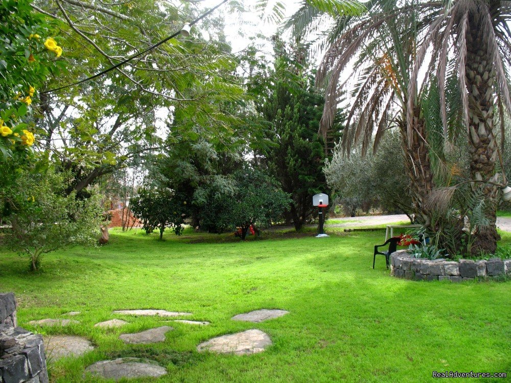 The yard | Karaso galillee country lodging | Image #11/17 | 