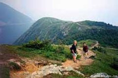 Cabot Trail | Hike & Walk with Scott Walking Adventures | Hubbards, Nova Scotia  | Hiking & Trekking | Image #1/1 | 