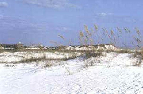 Miles of dunes to explore
