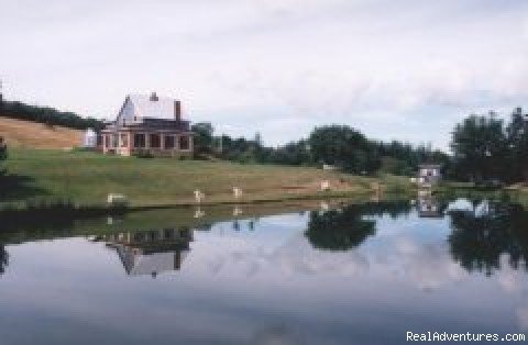 Main house with U fish | Old Miller Trout Farm and Guest House | Margaree Forks, Nova Scotia  | Vacation Rentals | Image #1/6 | 