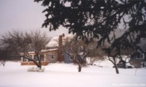 Old Miller in Winter | Old Miller Trout Farm and Guest House | Image #3/6 | 