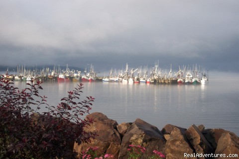 waterfront view - Bayside Inn - yarmounth: digby nova scotia bed 