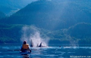 British Columbia Sea Kayaking Adventures | Nanaimo, British Columbia | Kayaking & Canoeing