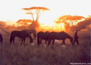 Long Distance Adventure Rides | Arusha, Tanzania | Horseback Riding & Dude Ranches