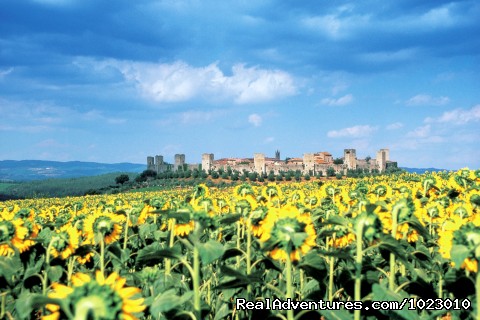 Backroads Italy Bike Tours Photo