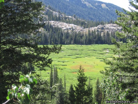 Horseback riding in the Tetons & Yellowstone Park: Hidden Corral