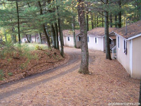 Cabins in the trees