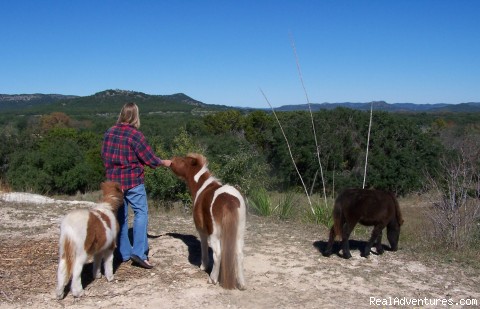 Frio River Cabins on Secluded Cabin In Texas Hill Country On Frio River   Realadventures