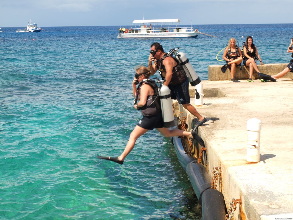 Brilliant Shore Diving | Don Foster's Dive Cayman, Ltd. | Image #4/10 | 