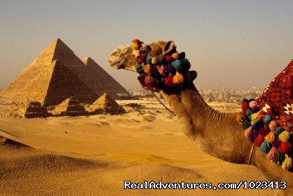 Egyptian Family Adventure | Nile Valley, Egypt | Sight-Seeing Tours | Image #1/1 | 