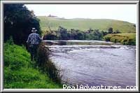 Vacations on stunning New Zealand farms: Photo #8