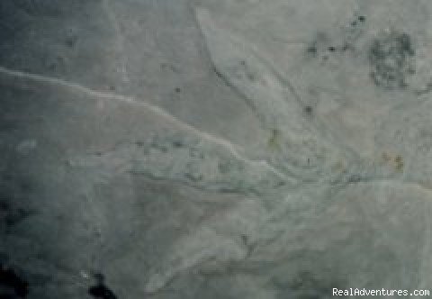 Dinosaur Footprints | Mount Morgan Mine Tours | Image #3/4 | 