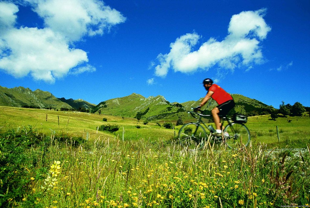 Near Lindis Pass, South Island | Pedaltours Bicycle Adventures | Image #13/18 | 