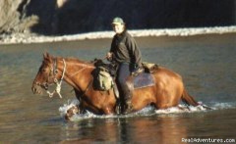 Just having fun! | Hurunui Horse Treks | Image #2/4 | 