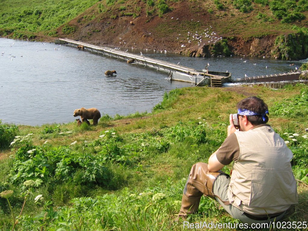 Bear Viewing | Alaska's Kodiak Wilderness Sport Fishing | Image #11/11 | 