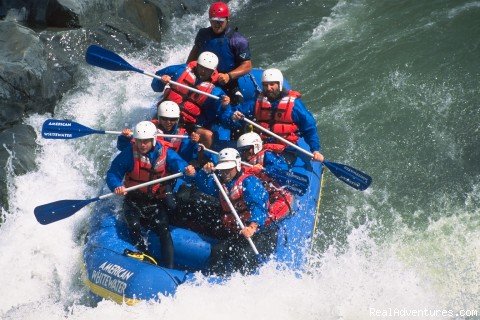 North Fork American River | American Whitewater Expeditions Rafting Adventures | Image #7/26 | 