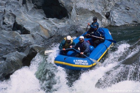 North Fork American River - Chamberlin Falls | American Whitewater Expeditions Rafting Adventures | Image #2/26 | 