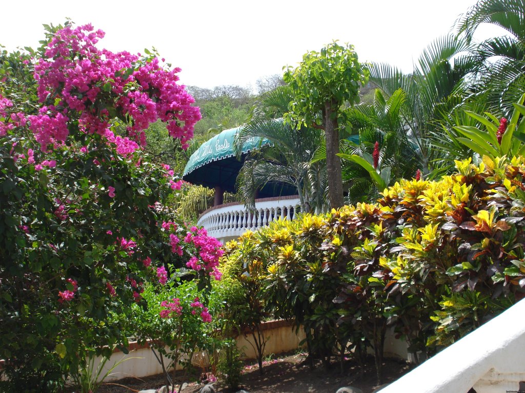 Overlooking Ocotal Bay | Elegant boutique hotel overlooking Ocotal Bay | Playas del Coco, Costa Rica | Hotels & Resorts | Image #1/5 | 