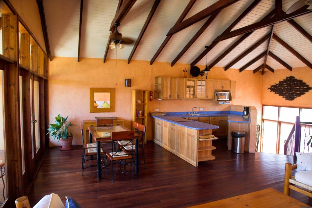 Villa Kitchen & Dining Area | Caribbean adventure starts at True Blue Bay Resort | Image #5/22 | 