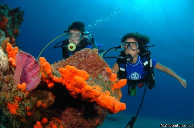 Photo #1 | Marine Biology Summer Adventure Camp for Teenagers | San Salvador, Bahamas | Summer Camps & Programs | Image #1/2 | 