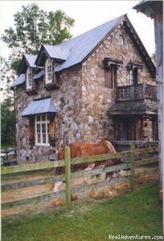 Zion Farms