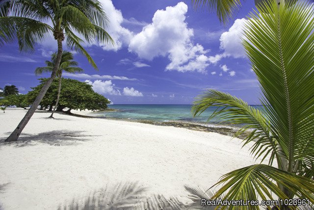 Grandview Condominiums | Vacation Rentals, Seven Mile Beach, Grand Cayman | Image #16/26 | 