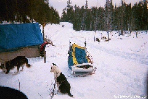 The Camp | White Wolf Wilderness Expeditions | Image #4/9 | 