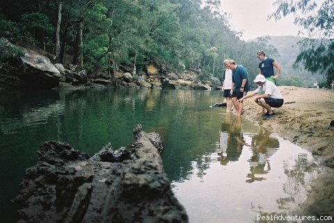 Spot fish in crystal waters | Country Road Adventures | Image #5/5 | 