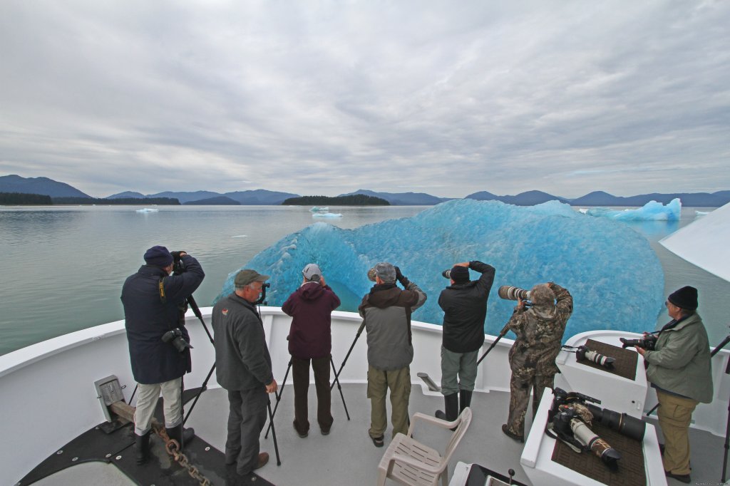 Paddling Partners With Alaska Sea Adventures | Alaska Sea Adventures Yachtalaska | Image #17/22 | 