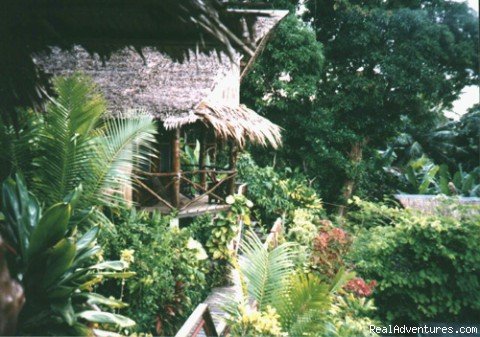 Local Accommodations | A Trip to Paradise | Image #2/2 | 