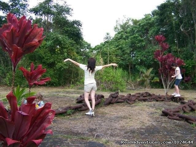 Garden Visitors By Chain | Hana Maui Botanical Gardens B&B/Vacation Rentals | Image #2/6 | 