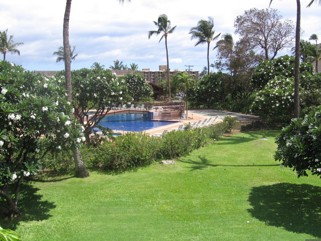 Koa Resort Luxury Townhome - Heated Pool | Image #3/12 | 