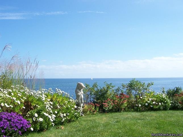 Beach House Garden by the sea | A Beach House Oceanfront Bed & Breakfast | Image #5/13 | 