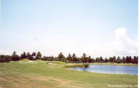 Crandon Golf Course | Great Golfing in Miami | Miami Free Zone, Florida  | Articles | Image #1/5 | 