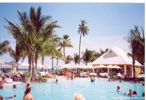 Ritz Carlton pool area | Great Golfing in Miami | Image #2/5 | 