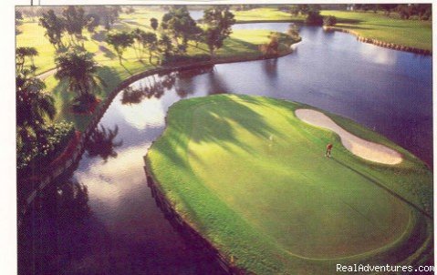 Turnberry's Island Green | Great Golfing in Miami | Image #3/5 | 