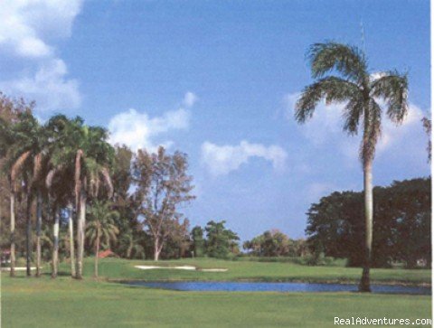 Don Shula's Golf Course | Great Golfing in Miami | Image #4/5 | 
