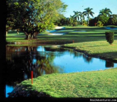 Great Golfing in Miami | Image #5/5 | 