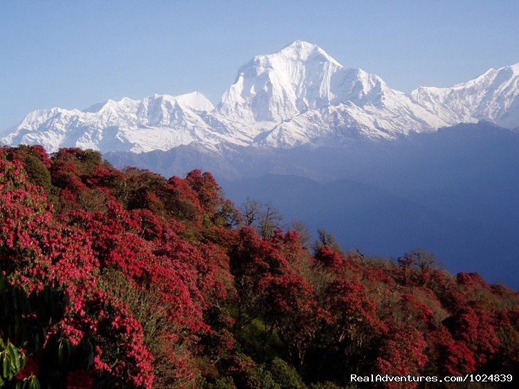 Mountain | Nepal Highlights | Image #3/15 | 