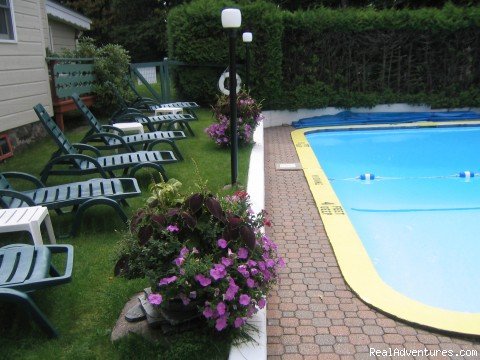 Pool and Lawn