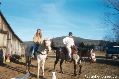 Scenic Horseback  Lessons Photo