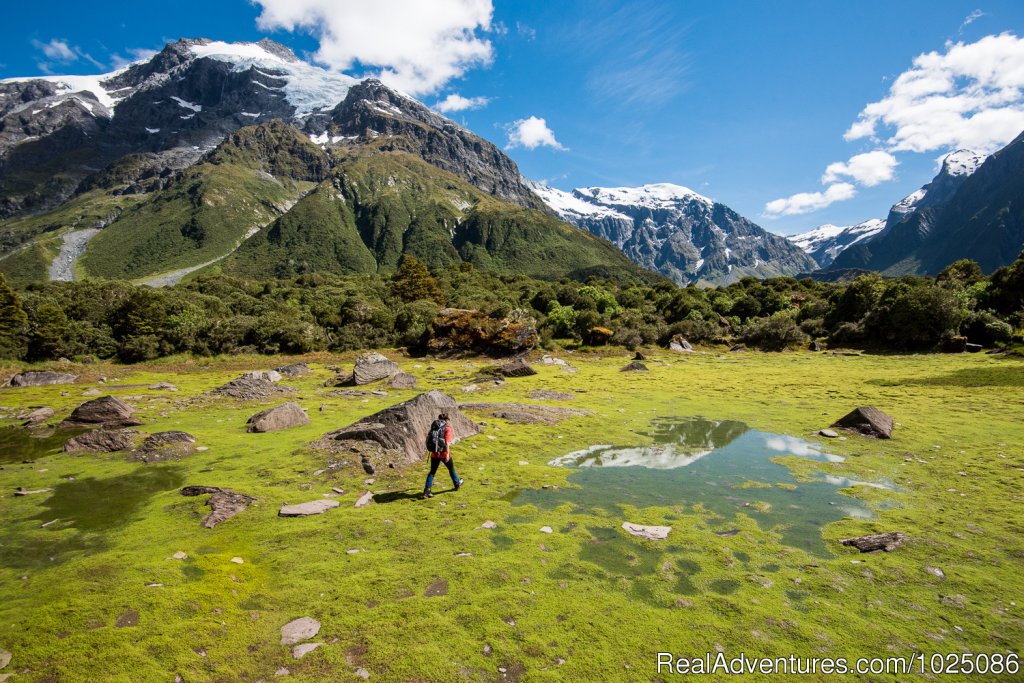 Upper Wilkin Gillespie Pass | New Zealand Wild Walks with Aspiring Guides | Wanaka, New Zealand | Hiking & Trekking | Image #1/9 | 