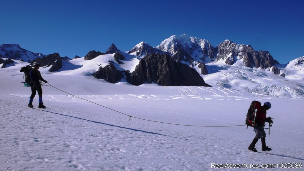 New Zealand Glacier Traverse | New Zealand Wild Walks with Aspiring Guides | Image #5/9 | 