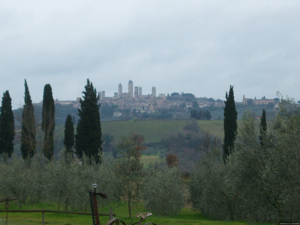 Visit to San Gimignano on our Best of Tuscany Tour | Artviva | Image #11/11 | 